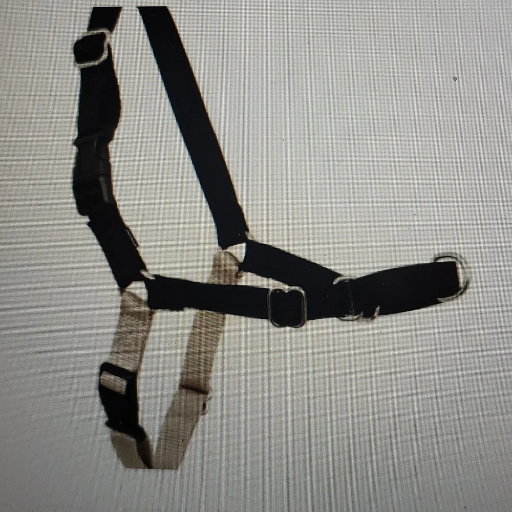 Pet Safe Easy Walk Dog Harness